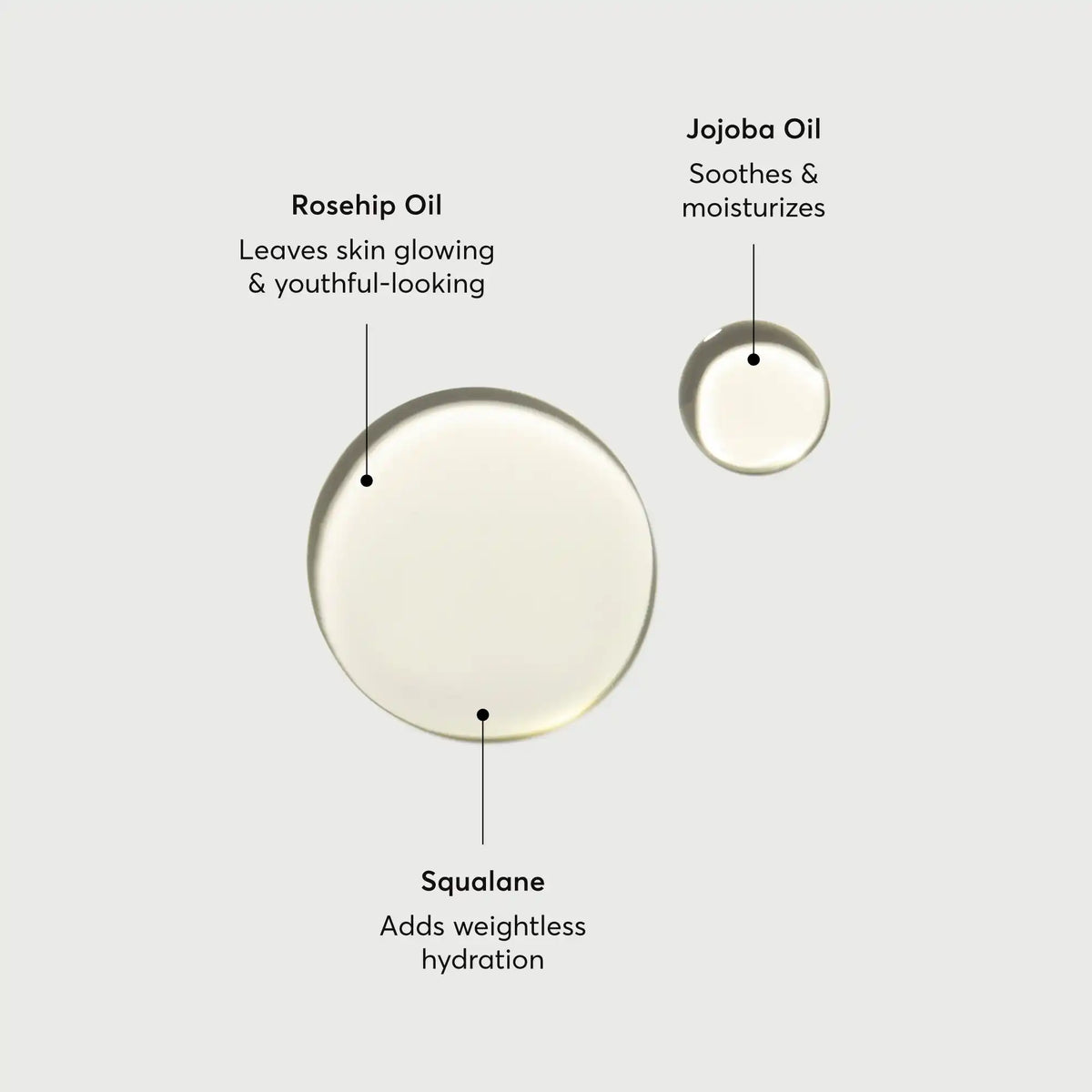the-glow-getter-body-oil-r3 NATR-10115-Alt-Images-The-Glow-Getter-Body-Oil-01.webp