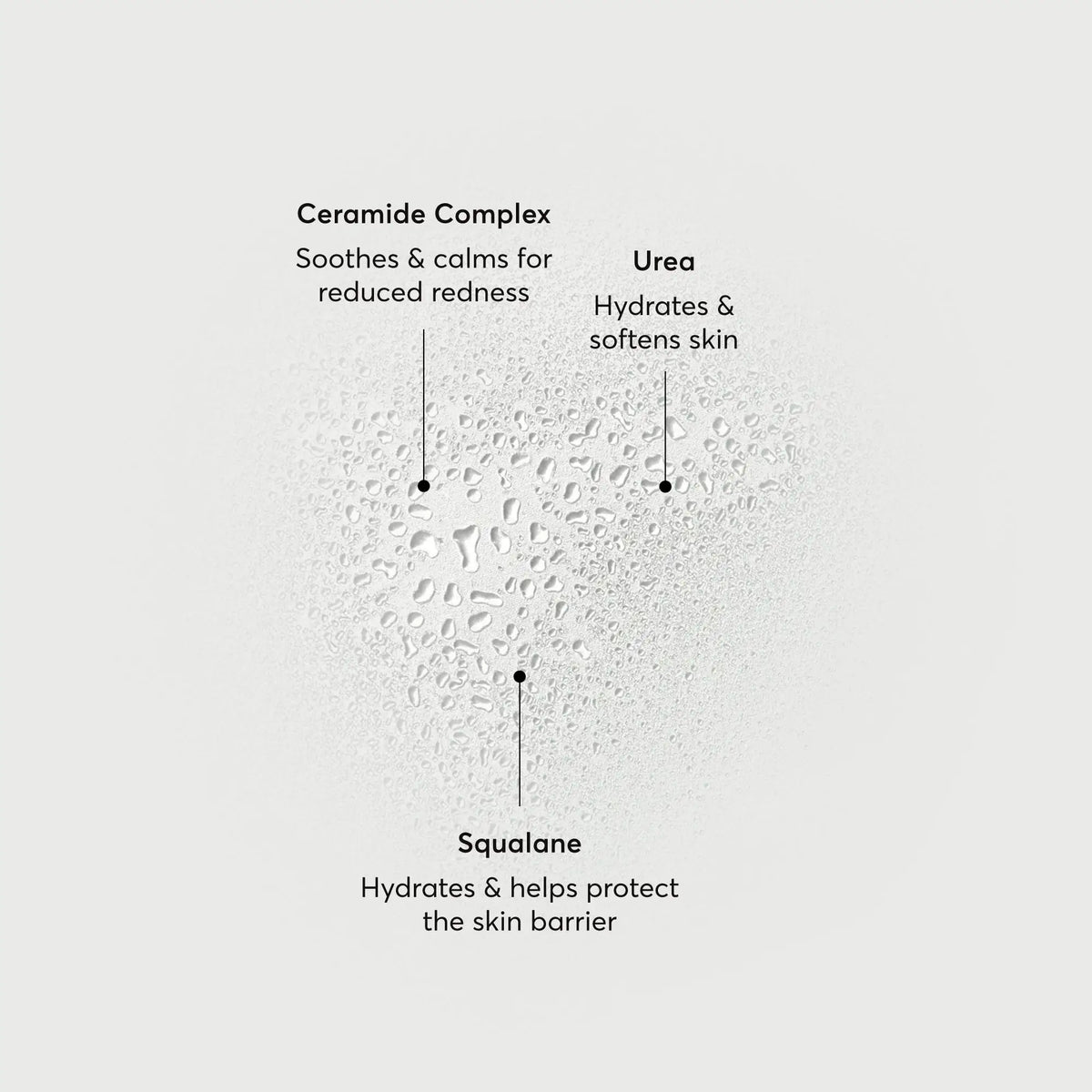 barrier-bounce-bi-phase-mist-b3 NATR-10167-Alt-Images-Barrier-Bounce-Bi-Phase-Toner-Mist_01.webp