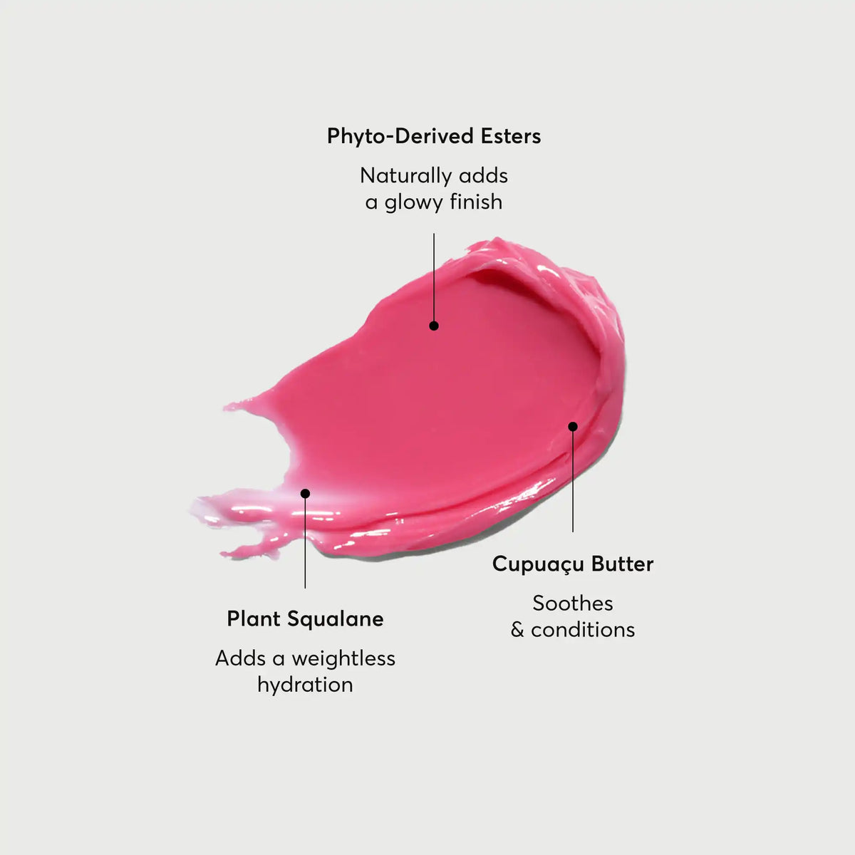 phyto-glow-lip-balm-camellia-o5 NATR-60075-Alt-Images-Phyto-Glow-Lip-Balm-Camellia-01.webp